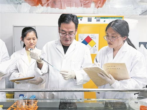 楚生輝 為新疆中藥學發展貢獻力量的醫學研究與試驗先鋒