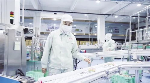 從牛肉拉面到科研試驗 蘭州特色產業的跨界融合與高質量發展之路