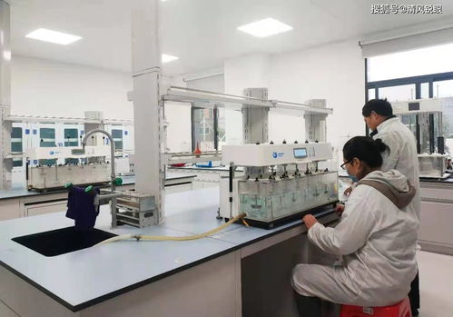 喜訊！真奧研究院新鮮螺旋藻功能性食品成功中試，引領醫學研究與試驗發展新方向